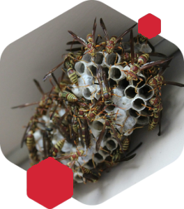 décoration murale noire et marron